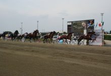 Tris Quartè e Quintè 15 cavalli