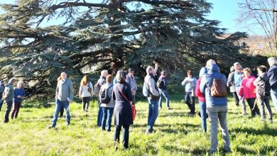 Giornata dell'Energia Sociale 2026