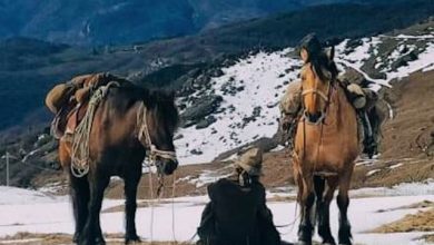 Paola Giacomini Cinema in Verticale