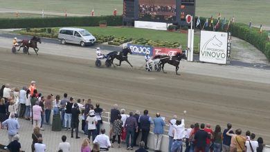 Vinovo 30 marzo otto corse