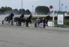 Ippodromo Vinovo 22 aprile otto corse