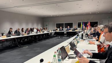 Torino Comitato permanente della Conferenza delle Alpi