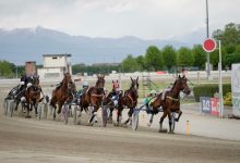 Ippodromo Vinovo 15 maggio otto corse