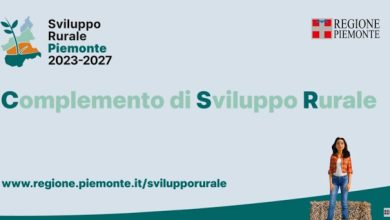 Regione Piemonte vince premio RuralCiak