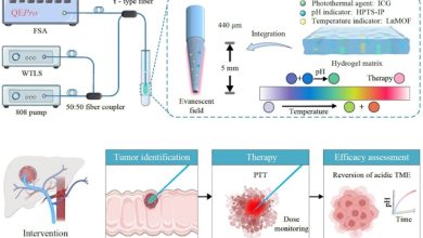 sonda a fibra ottica cura del tumore