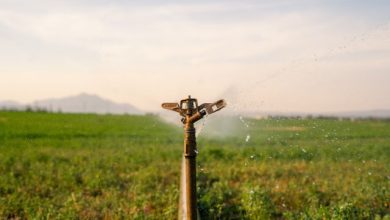 Crisi idrica Confcooperative Agroalimentare e Pesca Piemonte