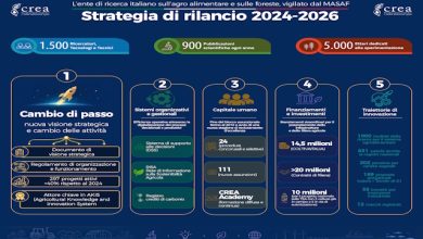 Rocchi CREA bilancio