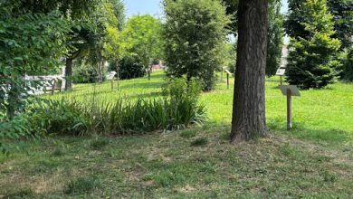 Un bosco per la città Boschetto Matteotti