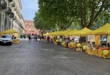 Mercato Contadino di Campagna Amica Asti al Cardinal Massaia