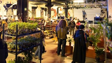 Botanical Groove Torino