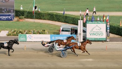 Derby Day Arrivo Oaks Ischia Joy