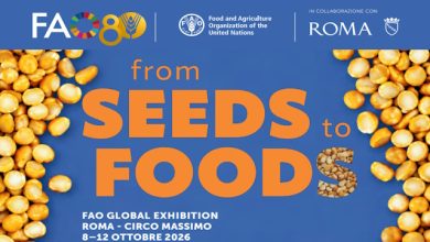 From Seeds to Food CREA